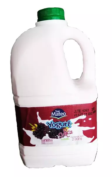 Yogurt 2 L Mora San Mateo